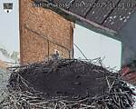 Capi_Dubne_20250906_114003.jpg