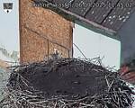 Capi_Dubne_20250906_114502.jpg