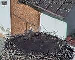 Capi_Dubne_20250906_115003.jpg
