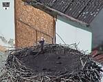 Capi_Dubne_20250906_125002.jpg