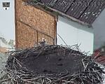 Capi_Dubne_20250906_131002.jpg