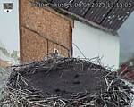 Capi_Dubne_20250906_131503.jpg