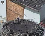 Capi_Dubne_20250906_133002.jpg