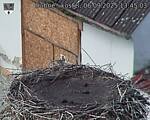 Capi_Dubne_20250906_134503.jpg