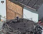 Capi_Dubne_20250906_135002.jpg