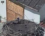 Capi_Dubne_20250906_140002.jpg