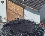 Capi_Dubne_20250906_141003.jpg