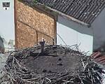 Capi_Dubne_20250906_142002.jpg