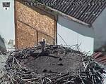 Capi_Dubne_20250906_144503.jpg