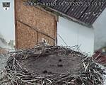 Capi_Dubne_20250906_151002.jpg