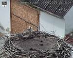 Capi_Dubne_20250906_151504.jpg