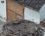 Capi_Dubne_20250906_152503.jpg