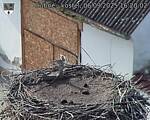 Capi_Dubne_20250906_162002.jpg