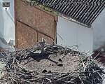 Capi_Dubne_20250906_163002.jpg