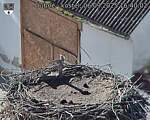Capi_Dubne_20250906_164002.jpg