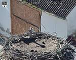 Capi_Dubne_20250906_164503.jpg