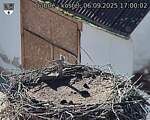 Capi_Dubne_20250906_170002.jpg