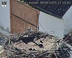 Capi_Dubne_20250906_171002.jpg