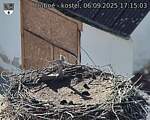 Capi_Dubne_20250906_171503.jpg