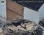 Capi_Dubne_20250906_172002.jpg