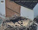 Capi_Dubne_20250906_174002.jpg