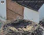 Capi_Dubne_20250906_182003.jpg