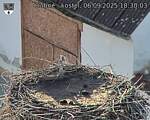 Capi_Dubne_20250906_183003.jpg