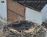 Capi_Dubne_20250906_183502.jpg