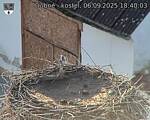 Capi_Dubne_20250906_184003.jpg