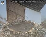 Capi_Dubne_20250906_185003.jpg