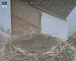 Capi_Dubne_20250906_185502.jpg