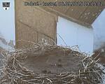 Capi_Dubne_20250906_191502.jpg