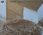 Capi_Dubne_20250906_192004.jpg