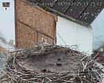 Capi_Dubne_20250906_192502.jpg