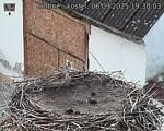 Capi_Dubne_20250906_193003.jpg
