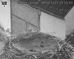 Capi_Dubne_20250906_195503.jpg