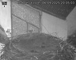 Capi_Dubne_20250906_200503.jpg