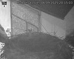 Capi_Dubne_20250906_201503.jpg