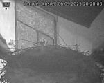 Capi_Dubne_20250906_202003.jpg