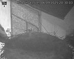 Capi_Dubne_20250906_203003.jpg