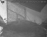 Capi_Dubne_20250906_210003.jpg