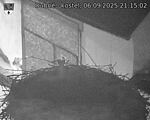 Capi_Dubne_20250906_211502.jpg
