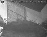 Capi_Dubne_20250906_212502.jpg