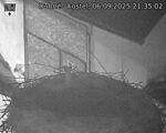 Capi_Dubne_20250906_213502.jpg