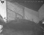 Capi_Dubne_20250906_214503.jpg