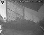 Capi_Dubne_20250906_222002.jpg