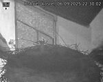 Capi_Dubne_20250906_223002.jpg