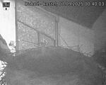 Capi_Dubne_20250907_004003.jpg