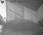 Capi_Dubne_20250907_011502.jpg