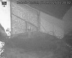 Capi_Dubne_20250907_012002.jpg